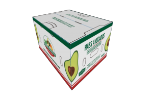 Hass Avocado from Mexico